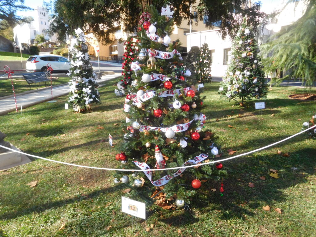Farms of Tuolumne County 2022 FOTC Christmas Tree